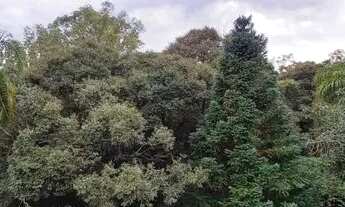 Imagem 2: Casa com três dormitórios. bairro juriti , Nova Petrópolis RS! REF: 919