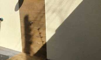 Imagem 5: Casa para venda com 115 metros quadrados com 2 quartos em Centro - Itaquaquecetuba - São P