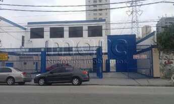 Imagem 2: SAO PAULO - Galpão/Depósito/Armazém - IPIRANGA