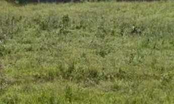 Imagem 5: Terreno 360m2 Terreno / lote com venda por R$20.000