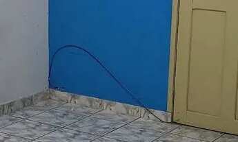 Imagem 3: Casa para alugar