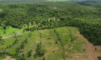 Imagem: Vendo fazenda próximo a Palmas TO