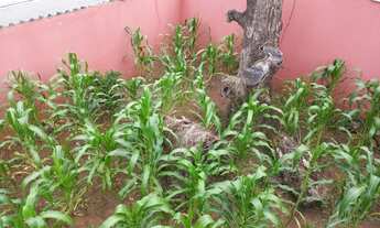 Imagem 7: CASA DUPLEX EM LARANJAL SÃO GONÇALO
