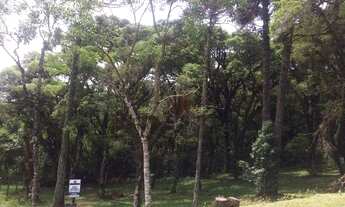 Imagem 4: Terreno no Condomínio Altos Pinheiros em Canela!