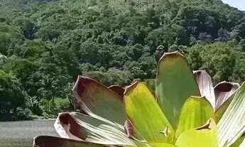 Imagem 2: Casa de campo dentro de clube