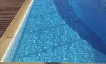 Imagem 7: Apartamento para alugar em Icaraí. ( Condomínio Golden Style 409.