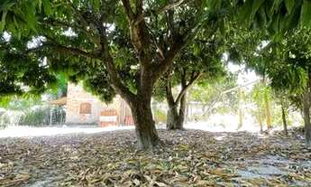 Imagem 2: TERRENO CIDADE DE GOIÁS