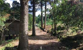 Imagem 4: Sítio no bairro Carazal em Gramado!