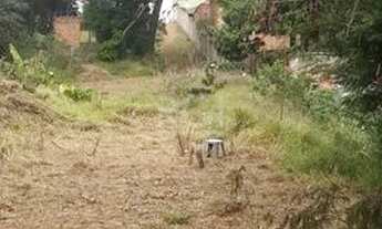 Imagem 6: Terreno para Venda - 0m², 0 dormitórios, Vila Nova
