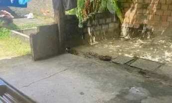 Imagem 5: Casa na cabanagem