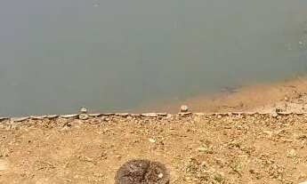 Imagem 4: Oportunidade Única em Araras!! Pesqueiro dos seus Sonhos não perca essa oportunidade!