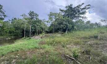 Imagem 5: TERRENO SITIO ESTRADA AM070 - KM 32 Oportunidade unica!