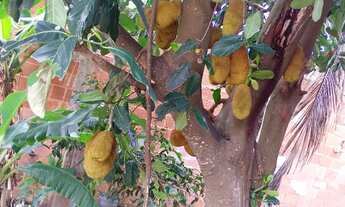 Imagem 6: Excelente Casa a Venda (R.G.I.) R$: 130.000,00 Ponte dos Leites - Araruama