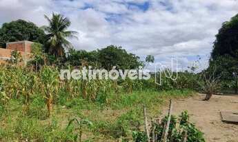 Imagem 2: Venda Lote-Área-Terreno Santo Antônio dos Prazeres Feira de Santana