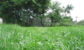 Imagem 4: Loteamento à venda em Vila Hamburguesa - SP