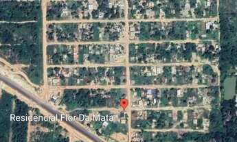 Imagem: Flor da Mata