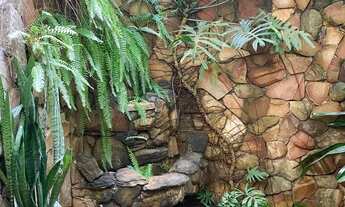 Imagem 6: Imóvel para aluguel com 24 metros quadrados com 1 quarto em Setor Sol Nascente - Goiânia