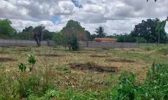 Imagem 7: Vendo terreno 1500 MT quadrado (passa de meia tarefa