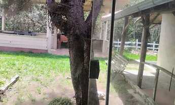 Imagem 3: Chácara com riacho