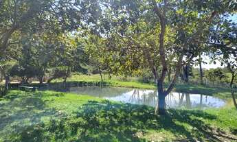 Imagem 5: Fazenda em Hitoraí