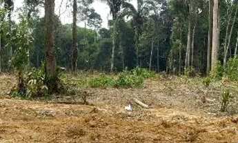 Imagem 5: Lote jerusalem da Amazônia