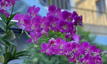 Imagem 5: Imóvel para aluguel com 24 metros quadrados com 1 quarto em Setor Sol Nascente - Goiânia