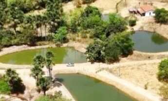 Imagem 3: Chácaras 1000m², R$35mil, Parcelado, Divisa Cachoeira do Éden, Energia, Aragoiânia