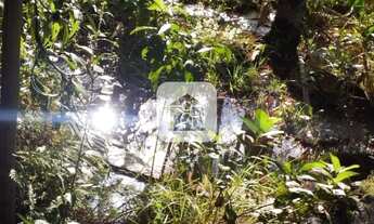 Imagem: Sitio para venda no bairro Zona Rural