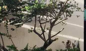 Imagem 3: Alugo apartamento na Maraponga