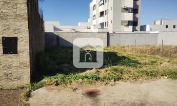 Imagem 5: Terreno para venda no bairro Novo Mundo