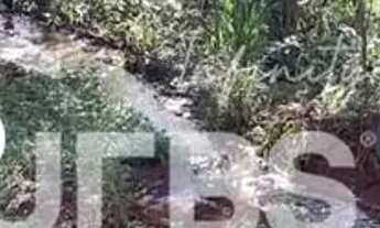 Imagem 5: CHACARA EM CONDOMÍNIO NO MUNICÍPIO DE GUAPÓ