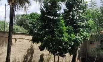 Imagem 7: LINDO SÍTIO PRA MORAR OU VERANEIO - 800M2 - 24X33