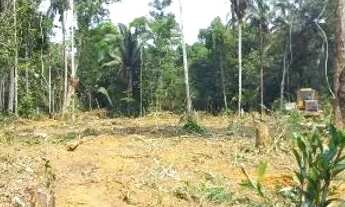 Imagem 6: Lote jerusalem da Amazônia