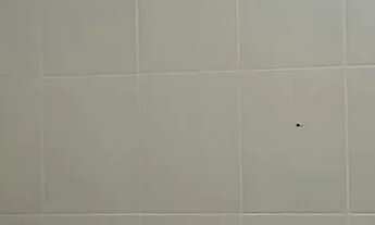 Imagem 4: Casa com piscina, mongagua, plataforma 2 agenor de campos mongagua $300 mil