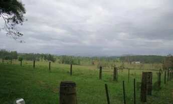 Imagem 6: Apartamento para Venda - 120m², 1 dormitório, 1 vaga - Centro Novo