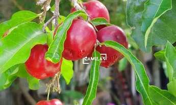 Imagem 6: Chácara à venda com 3 dormitórios, 1147 m² por R$ 850.000 - Chácaras Itália - Cosmópolis/S