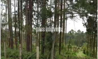 Imagem: EMBU-GUAÇU - CIPÓ DO MEIO - TERRENO COM