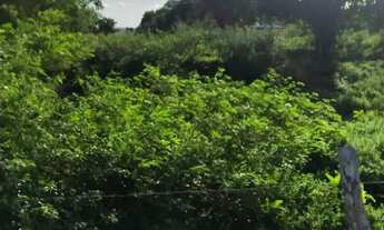 Imagem 3: Vendo Terreno em Ribeira do Pombal