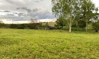 Imagem 4: Chácara com 19.3600 m² ( 04 alqueires) - Chácara Boa Vista - Goiânia/GO