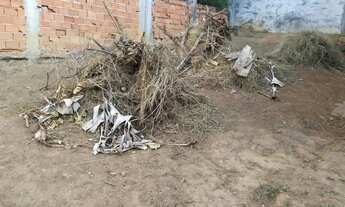 Imagem 7: Lote em Rua Sanhaço - Laranjeiras - Caieiras/SP