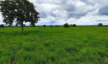 Imagem: Fazenda com dupla aptidão no Município