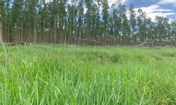 Imagem: VENDA!!! Uma fazenda à venda, 2.296 hectares