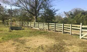 Imagem 4: Chácara em Santo Antônio da Platina valor 135 mil