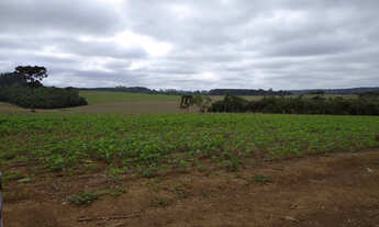 Imagem 6: Abre mais oito alqueires