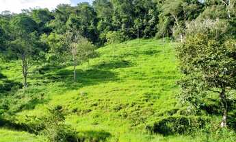 Imagem 3: Bela fazendinha em Alexania