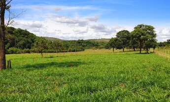 Imagem 5: Vendo Fazendinhas 20.000m² Financiadas em Sete Lagoas