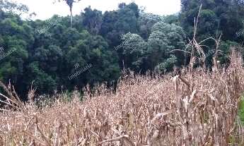 Imagem 6: Excelente Chácara Sem Benfeitorias