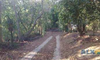 Imagem 4: Sítio à venda, 16000 m² por R$ 2.400.000,00 - Várzea das Moças - Niterói/RJ