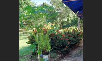 Imagem 3: Fazenda/Sítio/Chácara para venda tem