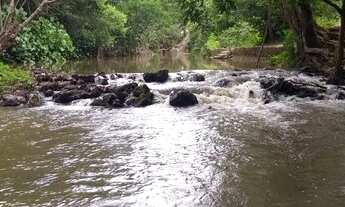 Imagem 6: Vende Terreno com 4Hectares Codó